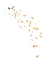 © Сладкарница "Вацак" - Снимка 15